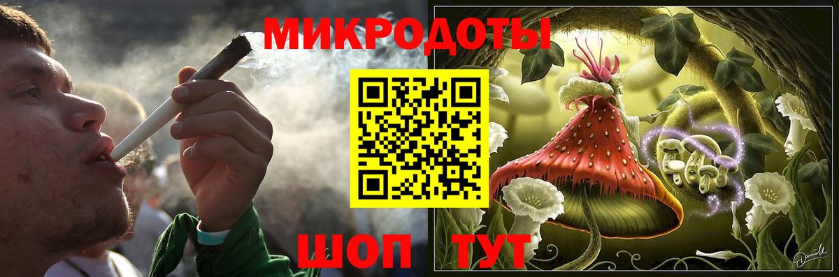 Галлюциногенные грибы Psilocybe Красноармейск