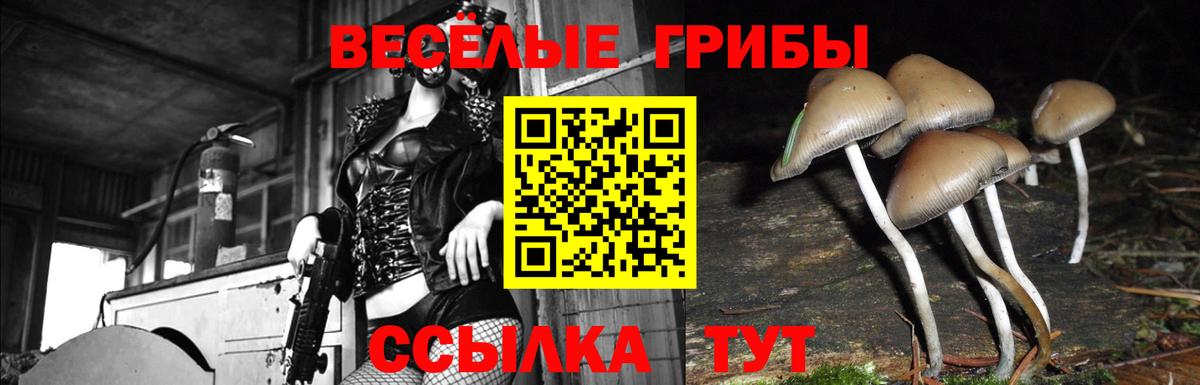 Красноармейск  Псилоцибиновые грибы мицелий  Вход с VPN 